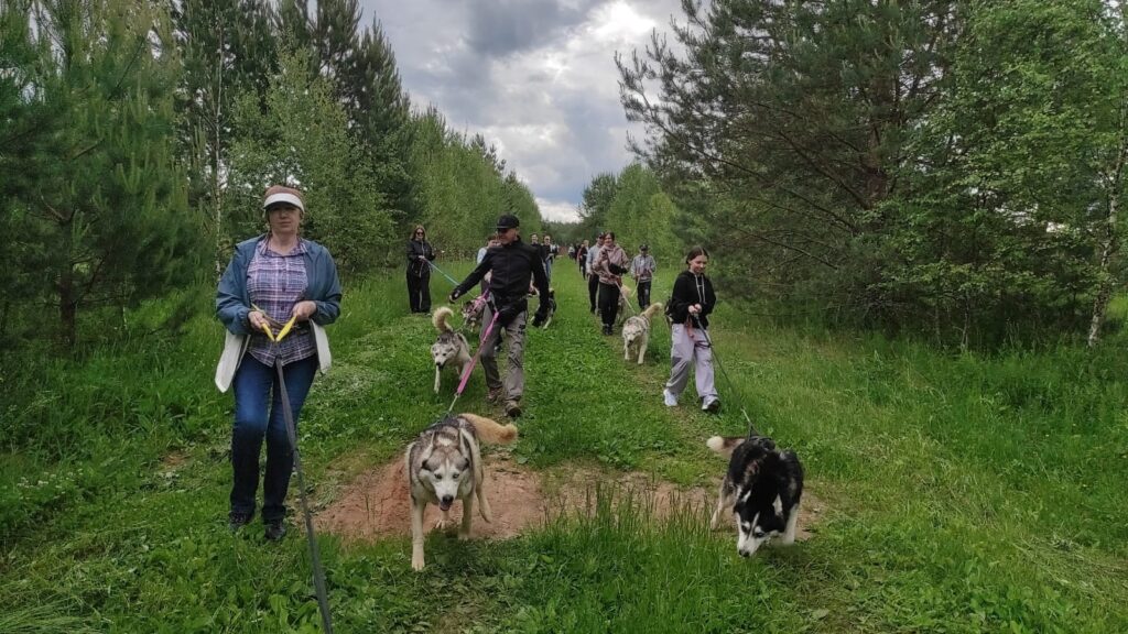 Активный семейный выходные «Лето на Покше» 2 дня