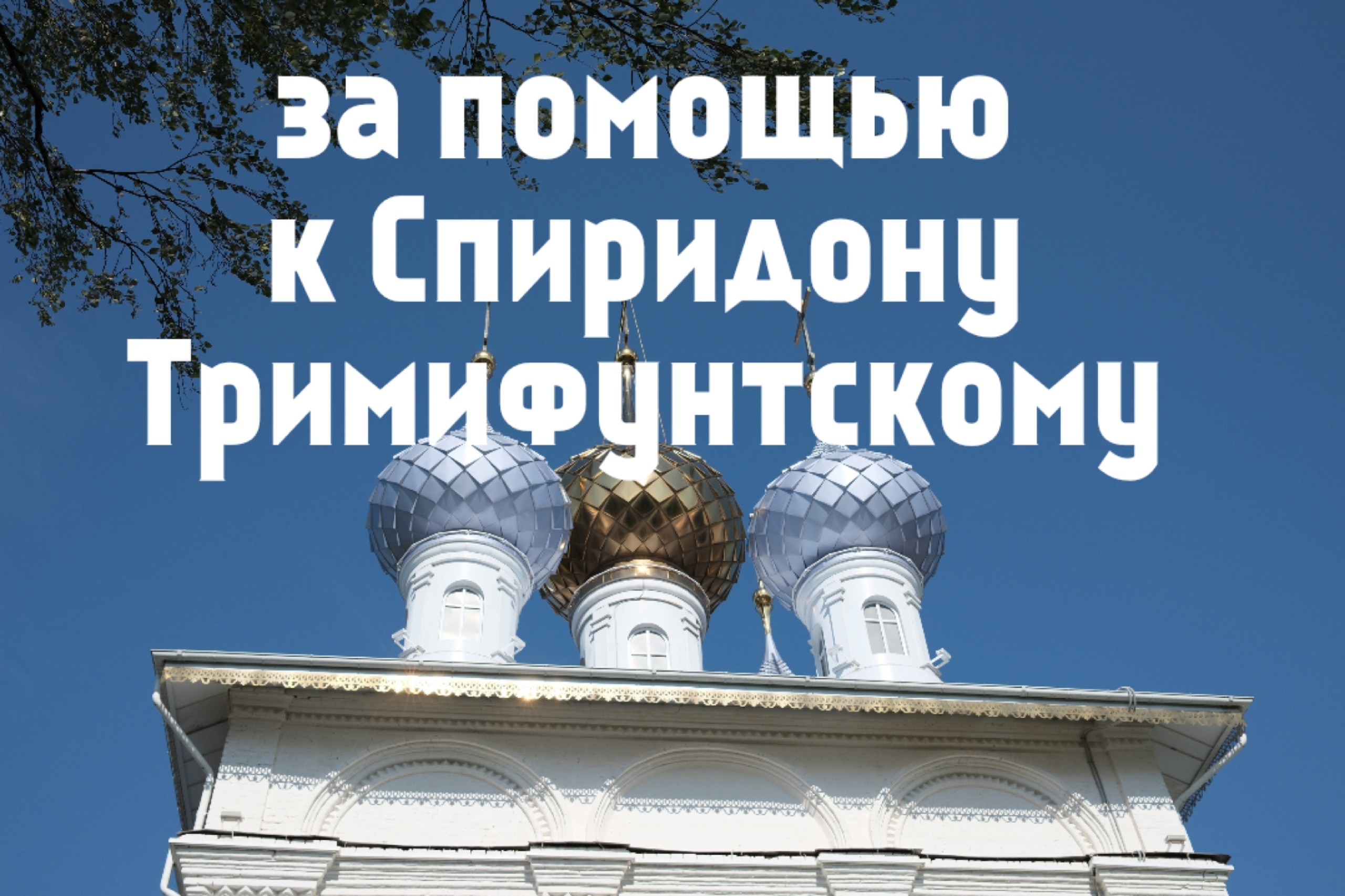 К мощам Святого Спиридона Тримифунтского г. Владимир